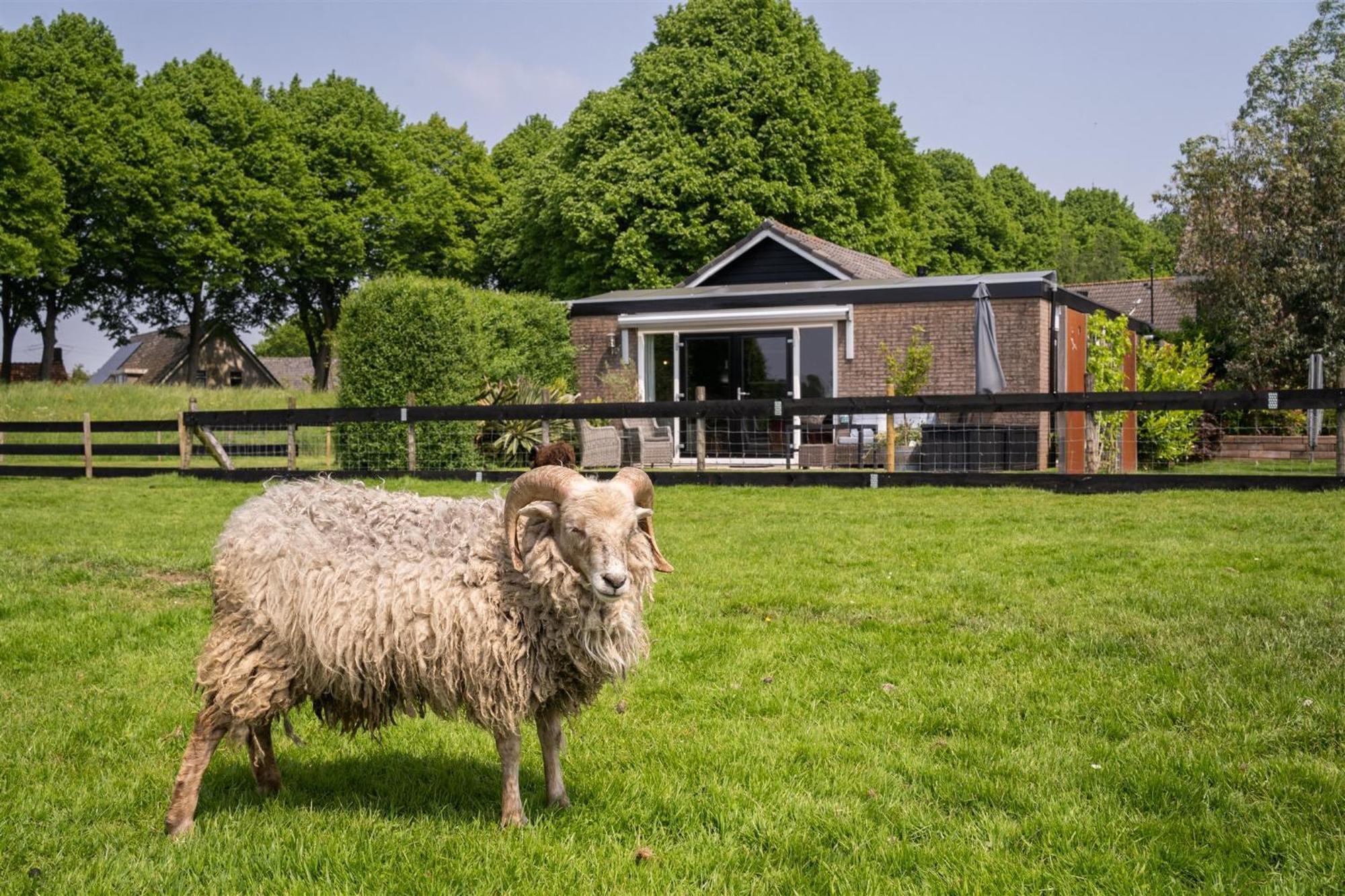 Vakantiewoning Le Garaazje 'S-Gravendeel 외부 사진