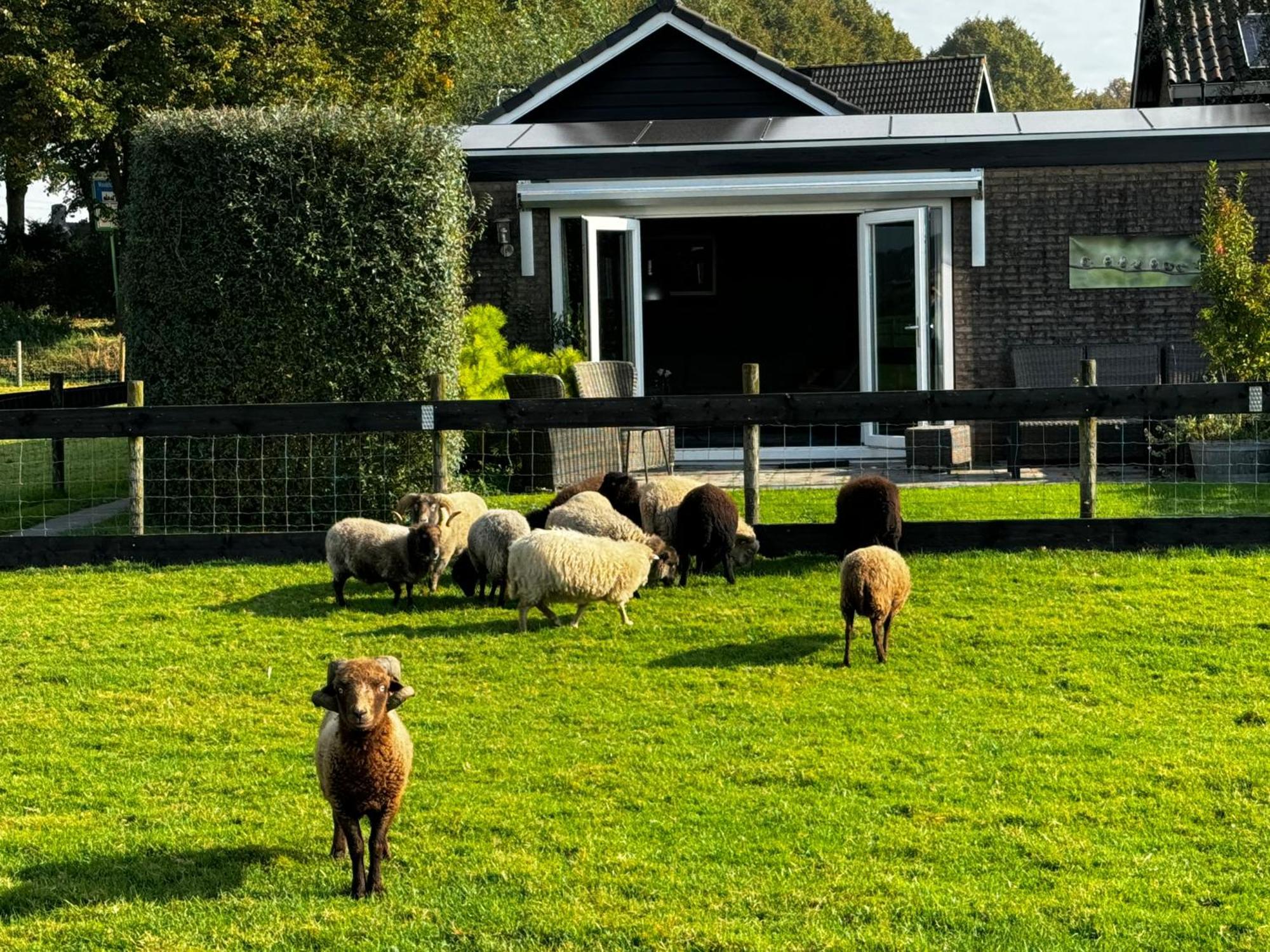Vakantiewoning Le Garaazje 'S-Gravendeel 외부 사진