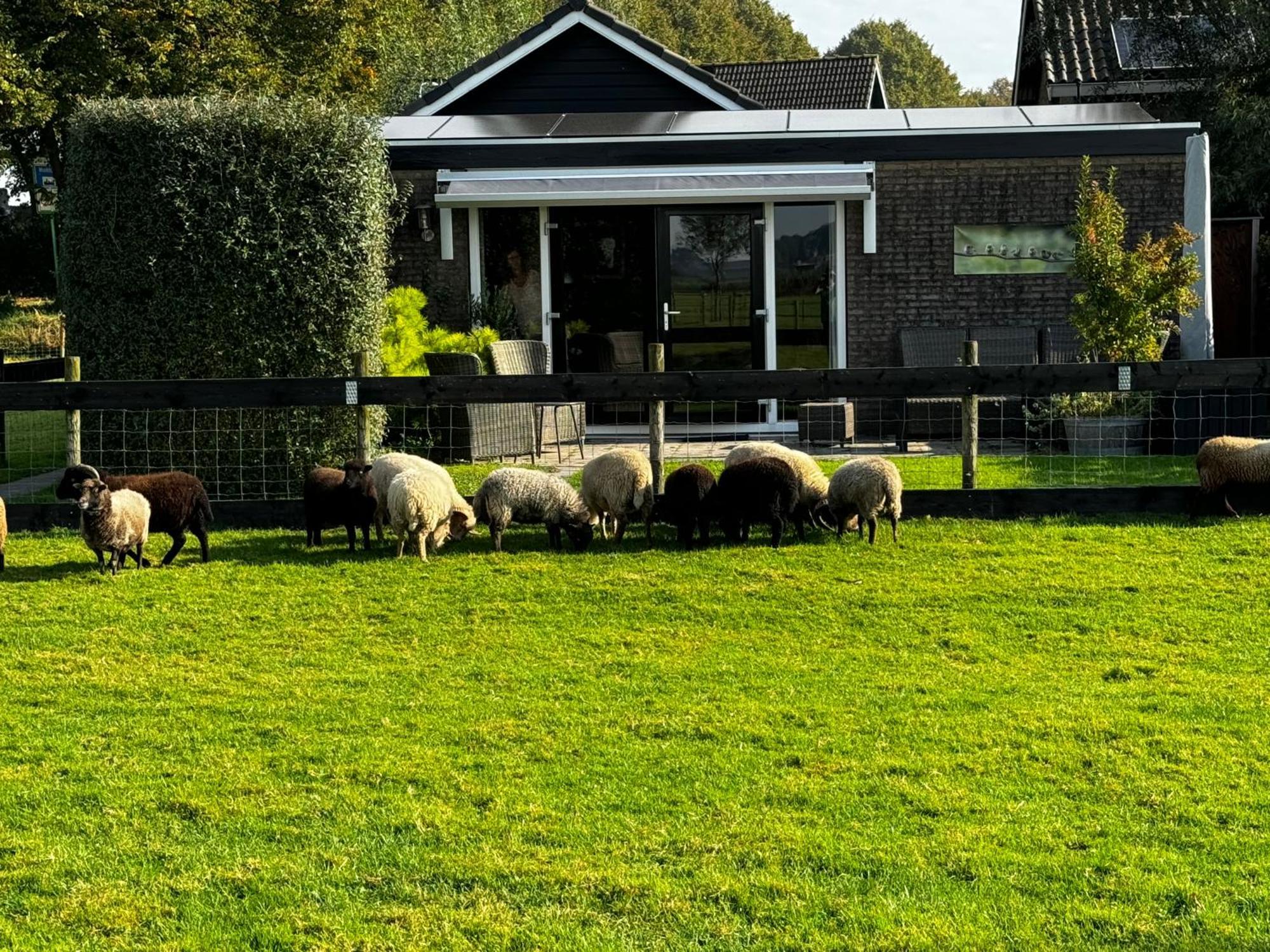 Vakantiewoning Le Garaazje 'S-Gravendeel 외부 사진